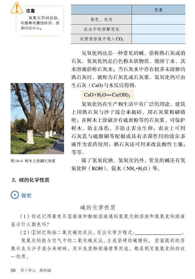 �n�} 10.1 ��Ҋ����͉A_