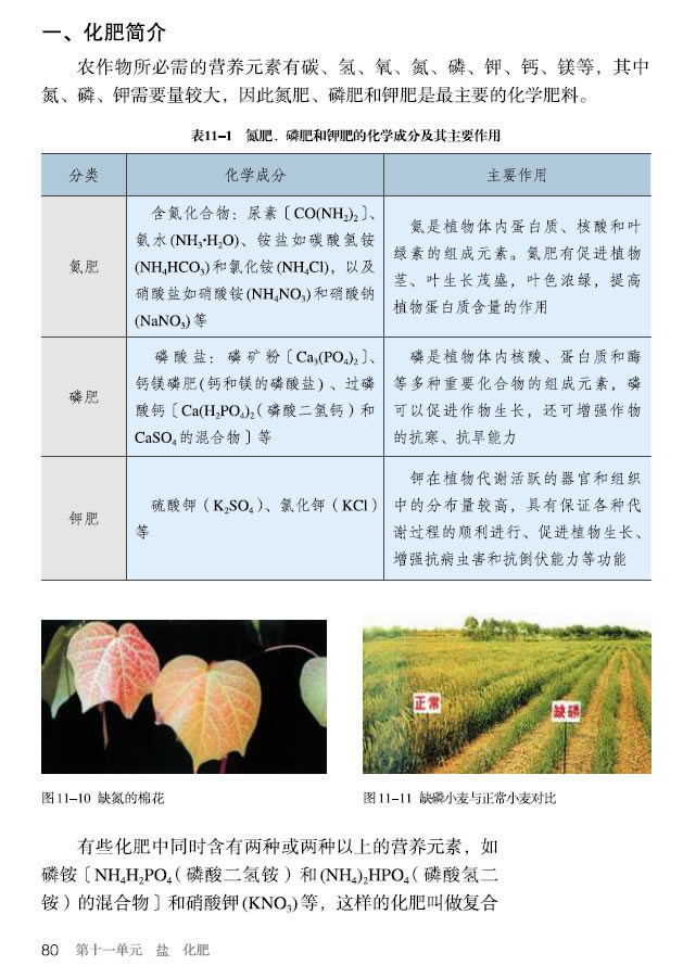 �n�} 11.2 ���W(xu��)����_