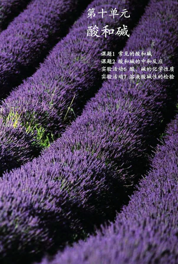 �n�} 10.1 ��Ҋ����͉A_