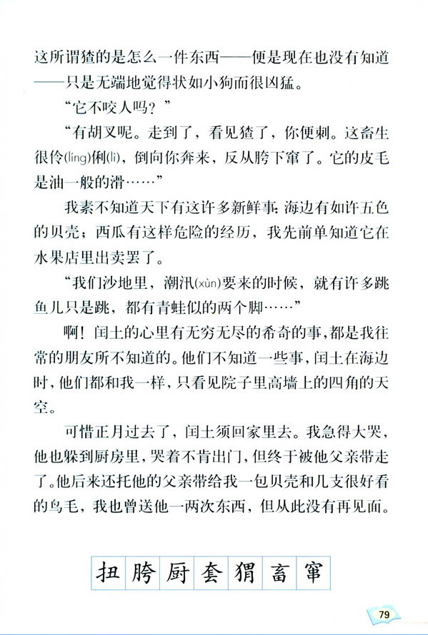 17�������c��_