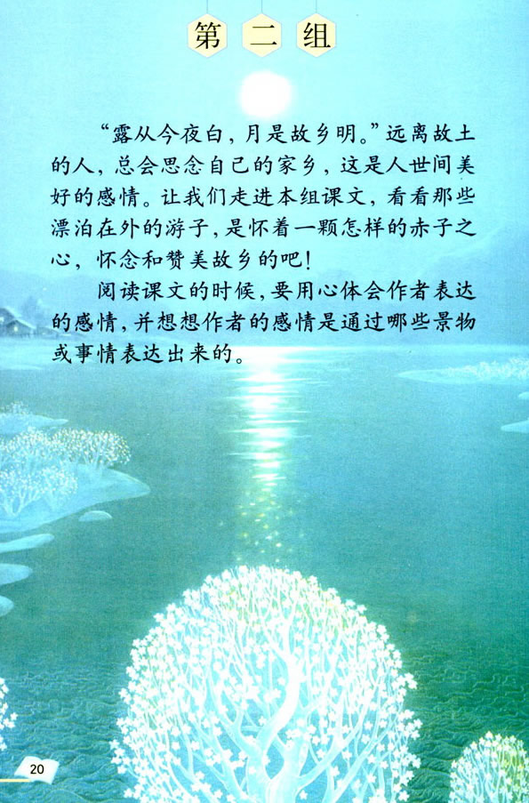 5����Ԋ����_